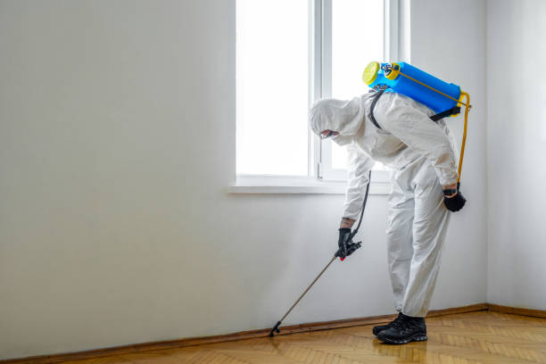 Best Affordable Pest Control Services  in Stanley, NC
