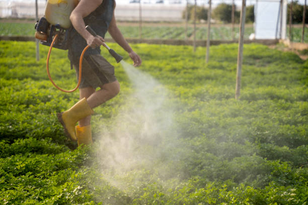 Best Ant Control Services  in Stanley, NC