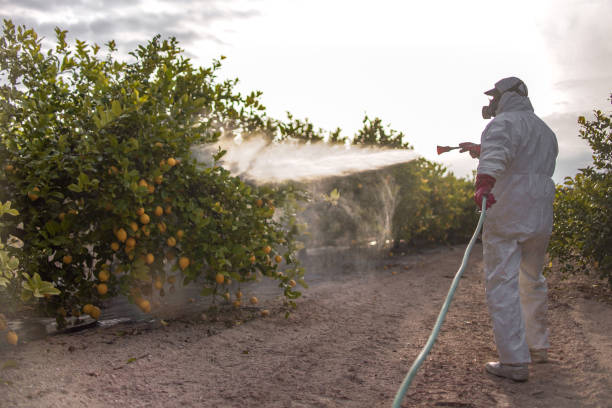 Best Mosquito Control Services  in Stanley, NC