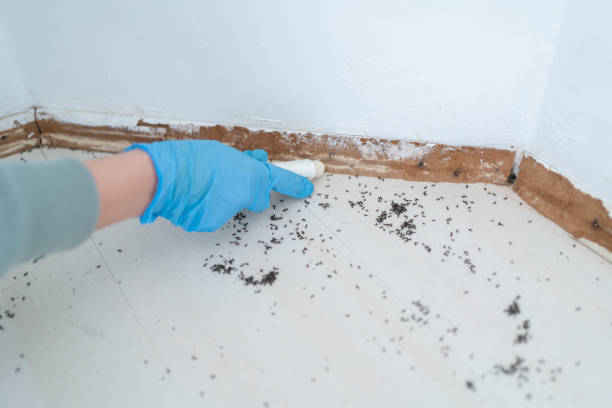 Best Affordable Pest Control Services  in Stanley, NC