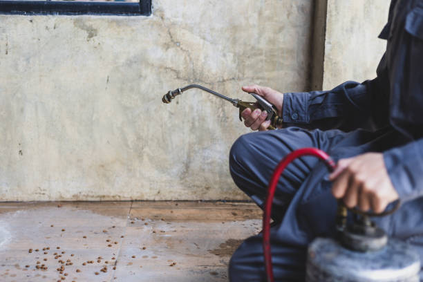 Wasp Removal Services in Stanley, NC